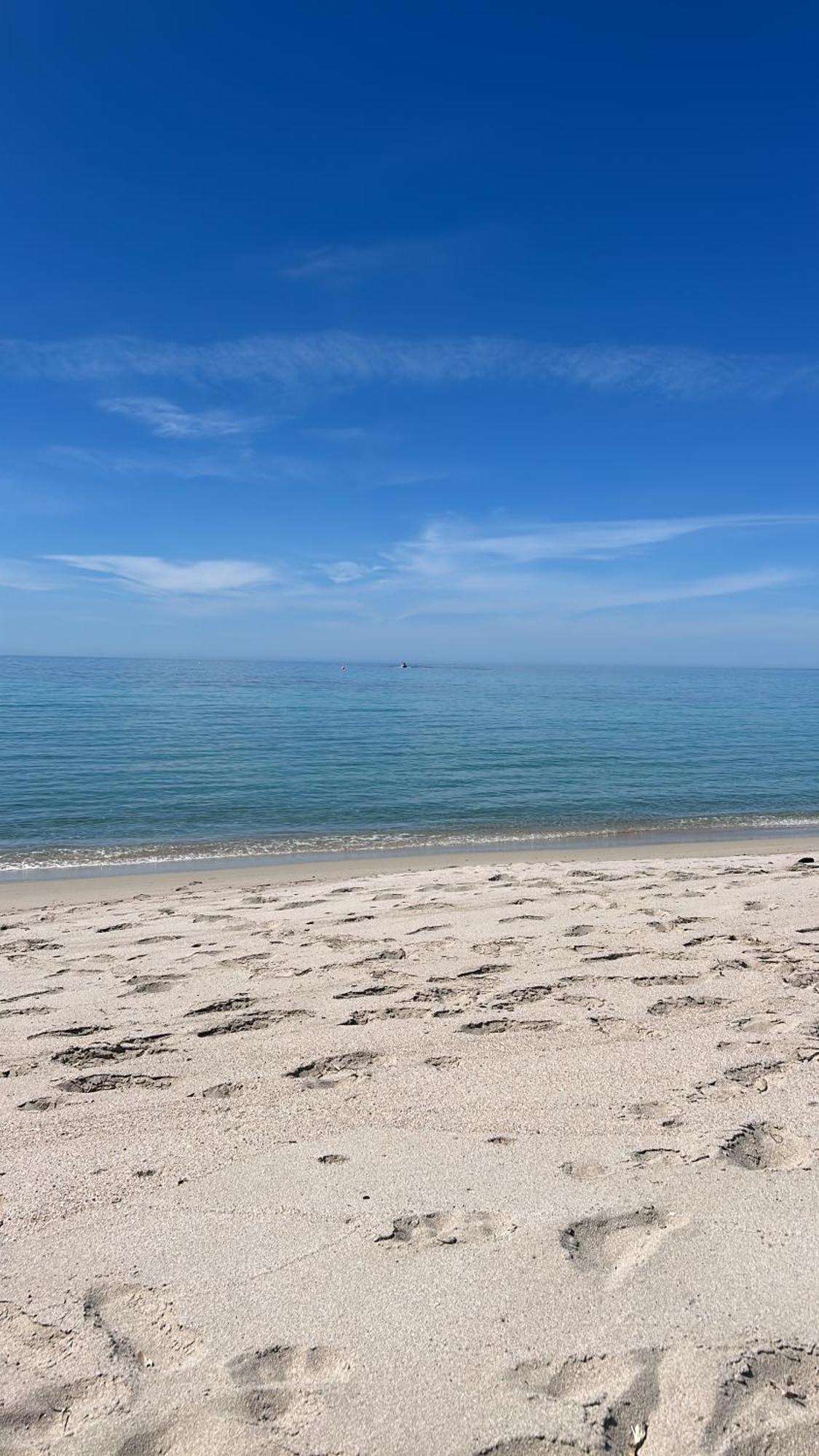 Duplex F4 Sanguinaires A 5 Mn De La Plage Ajaccio  Exterior photo